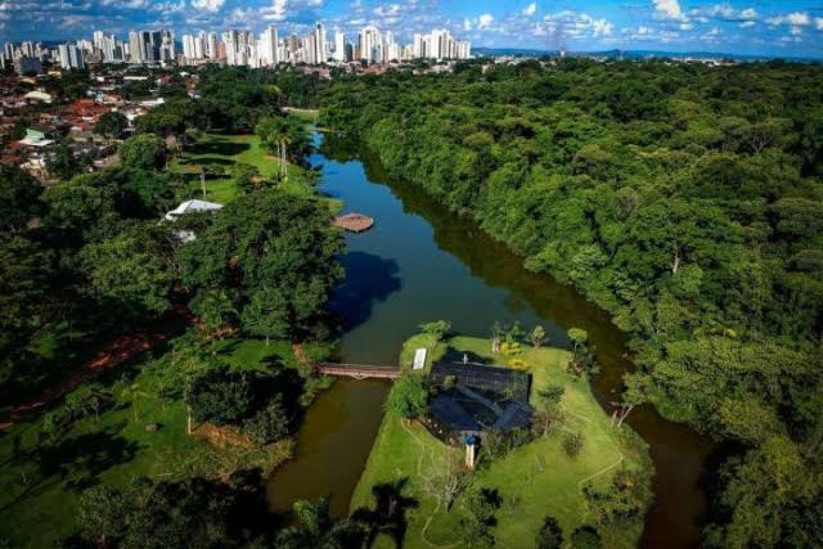 Fruto das gestões Iris, Goiânia ganha título de cidade árvore do mundo